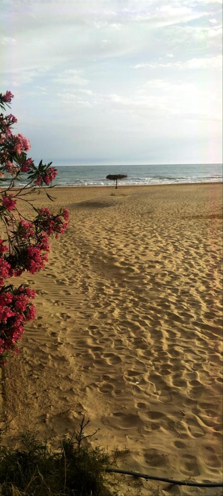Casa Vacanza Nonna Nena Порто-Емпедокле Екстер'єр фото